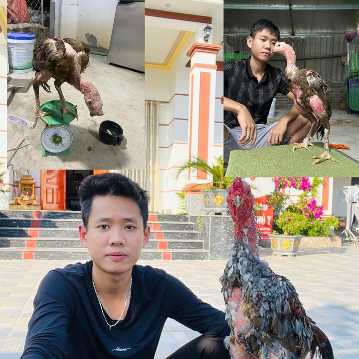 Quyền Ba Vì