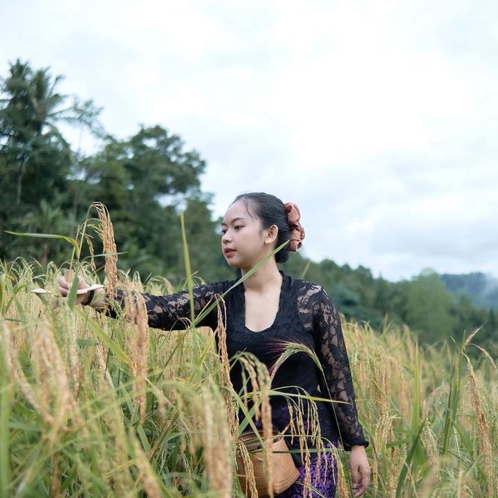 CereLayung
