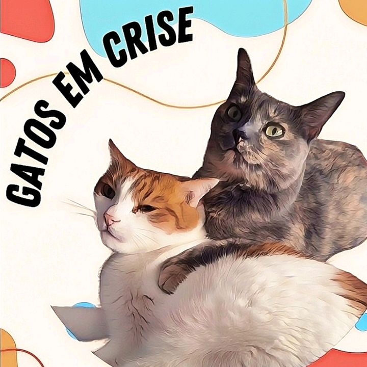 gatosemcrise