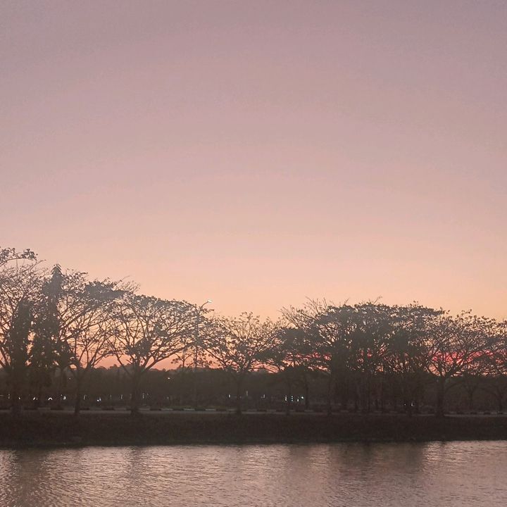 preset_capcut