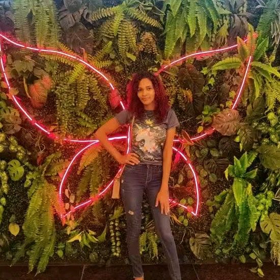 Darlly Araújo 🌺
