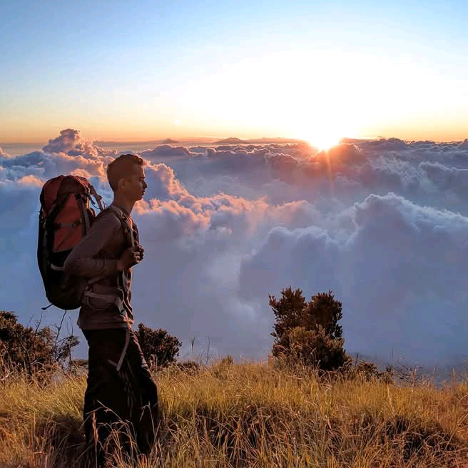 𝕎𝕒𝕙𝕪𝕦𝔽𝕚𝕤𝕙𝕚𝕟𝕘