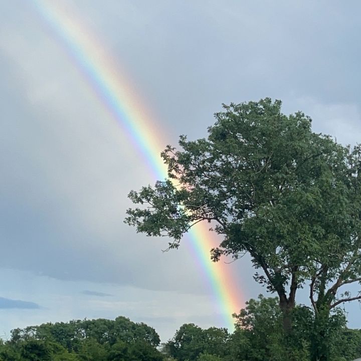 rainbowsarereal777