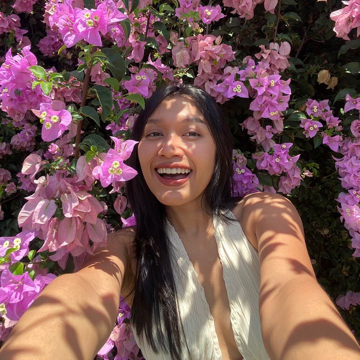 aom🦋