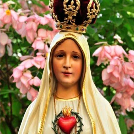 jovem católico