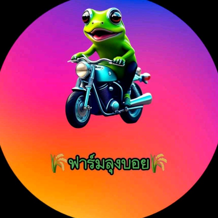 ฟาร์มลุงบอย