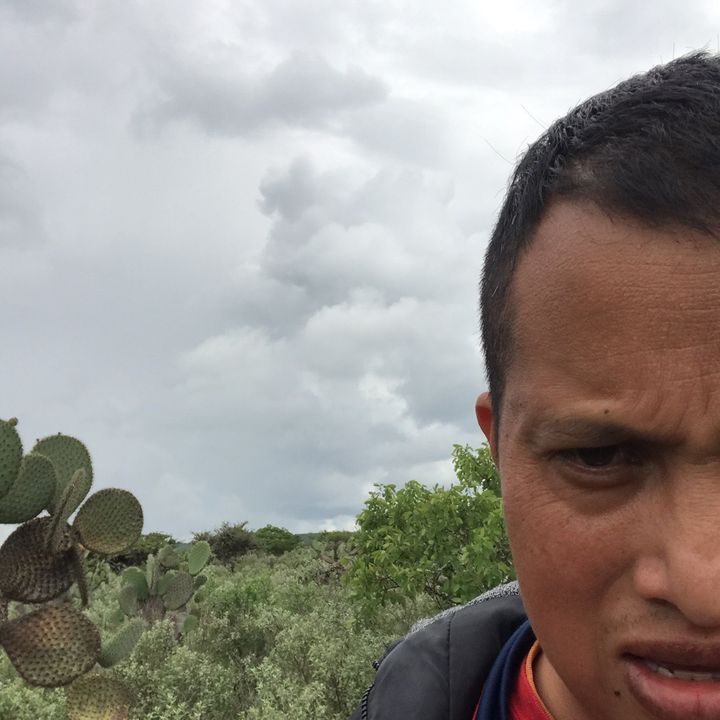 Aventuras Pedrito