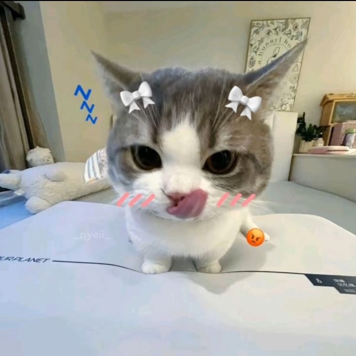 𝑻𝒉𝒂̉𝒐𝑵𝒈𝒖𝒚𝒆̂𝒏♡