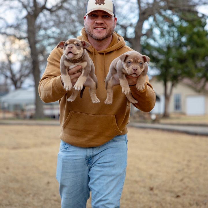 Lakeside Bully Kennel