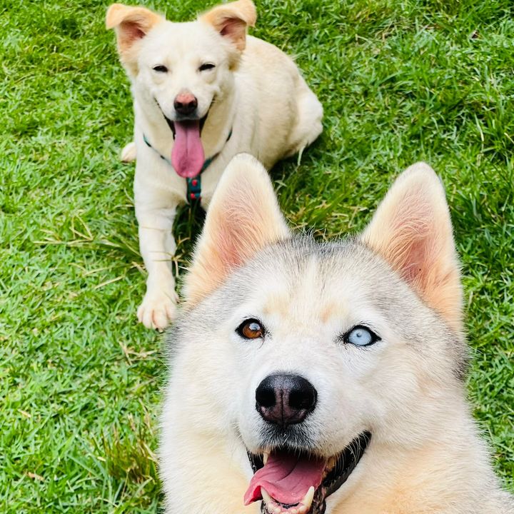 AKIRA & kiara e Ravena