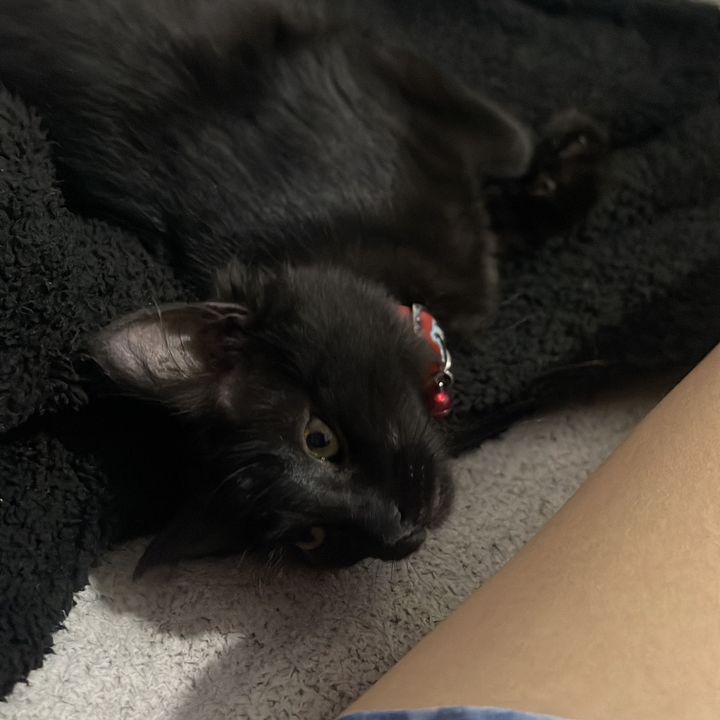Jane