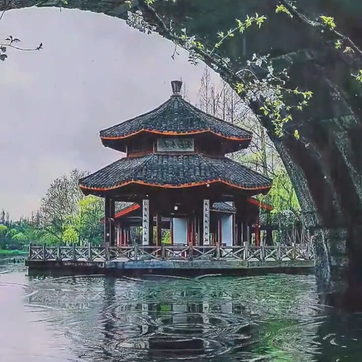 fengjing0010