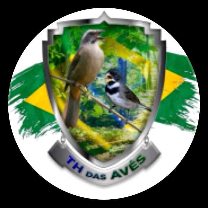 Th das Aves 🦅