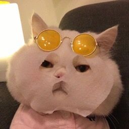 pets_5555