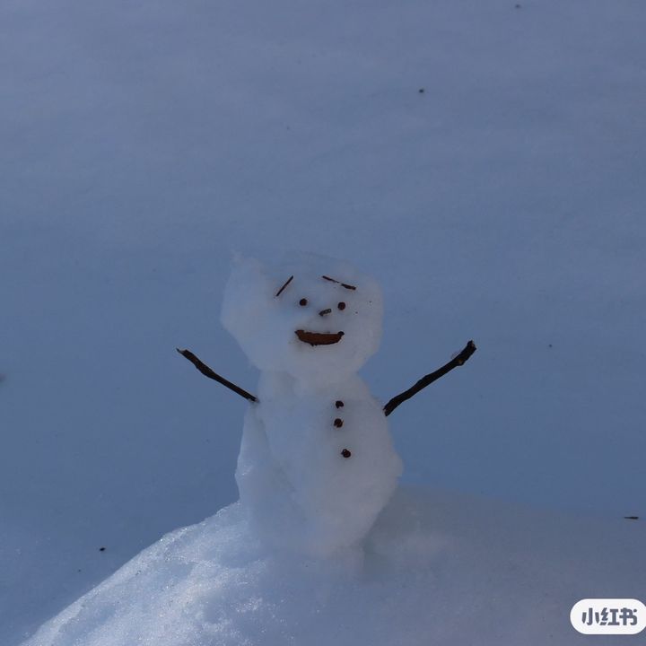 ホワイトモカ