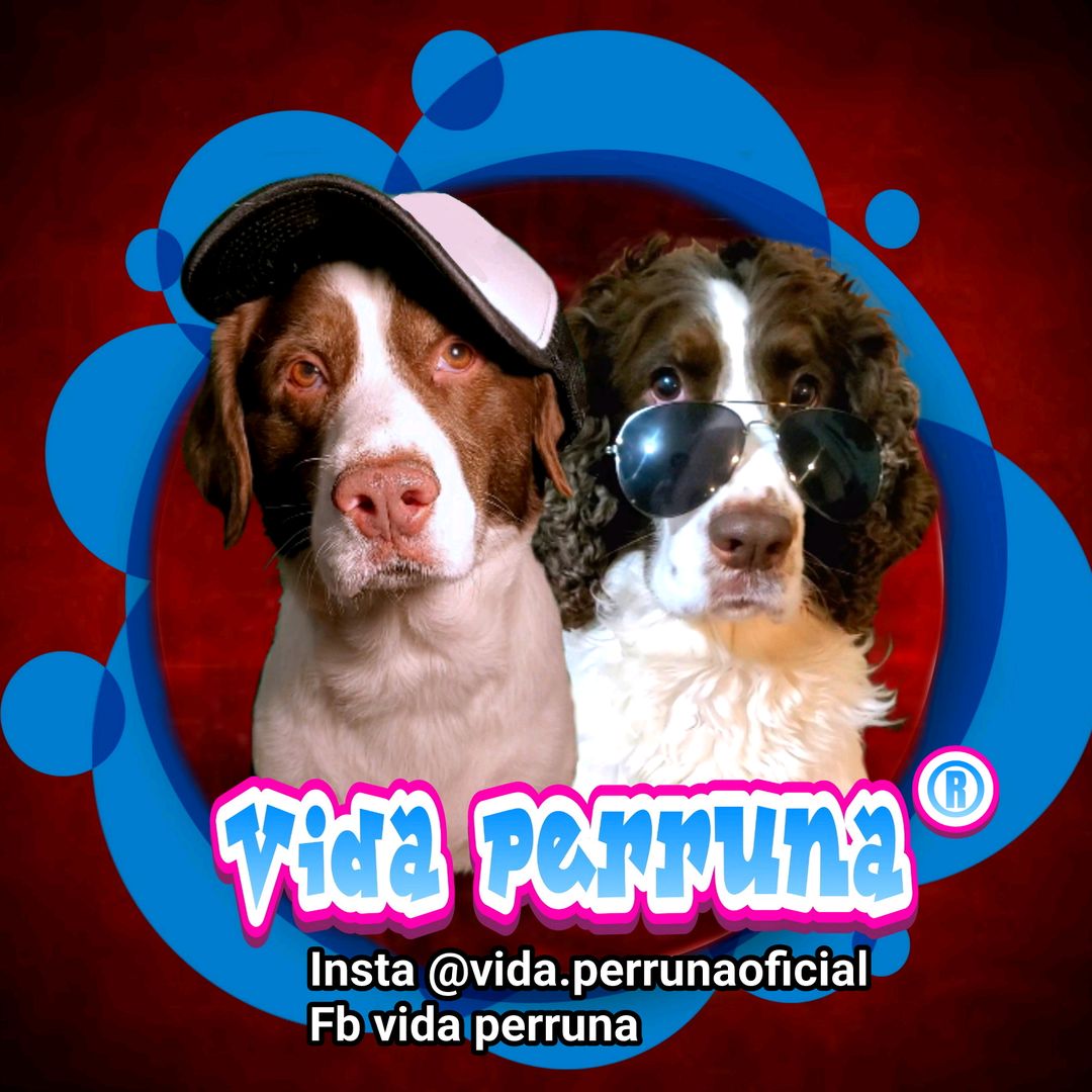 Vida Perruna