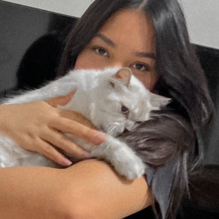 Mimi's Furmily 🐱