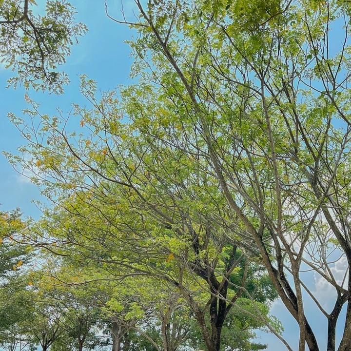 Nurul