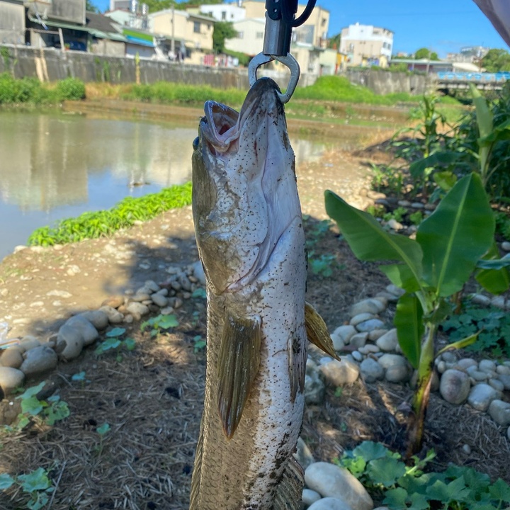 Đồ lure SHop