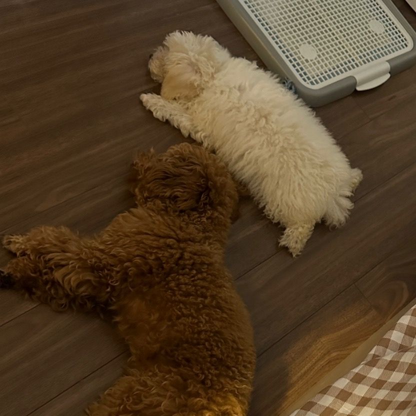 MỘT SỐ THỨ HAY HO ✨