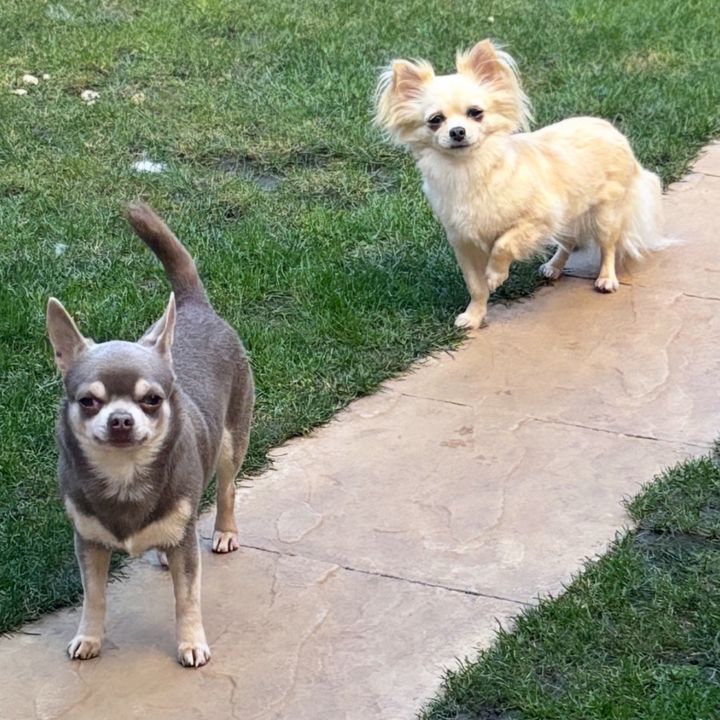 Ruben & Roxy