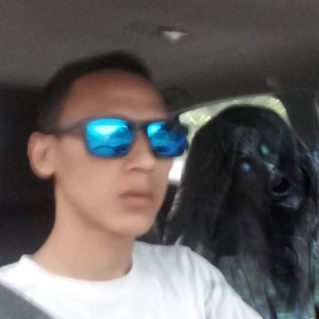 Ariez