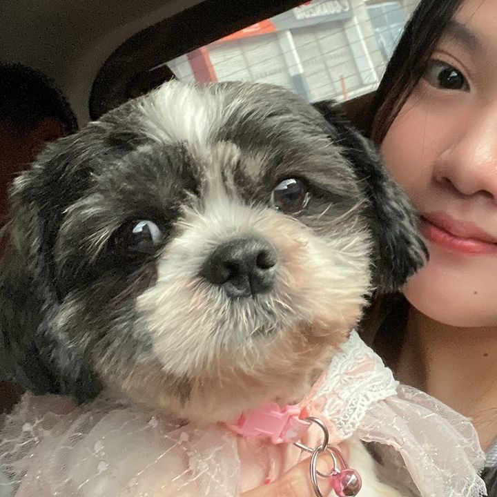 °°EM_TIKTOKfinds°° ✨