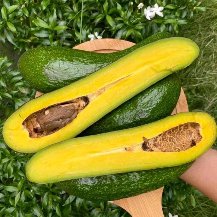 BaiBoon Avocado