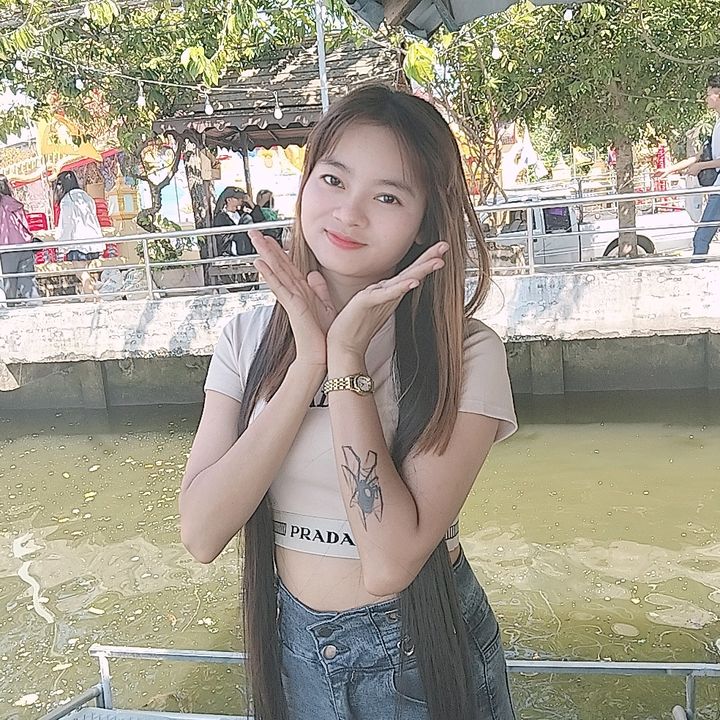 NanMyat6735