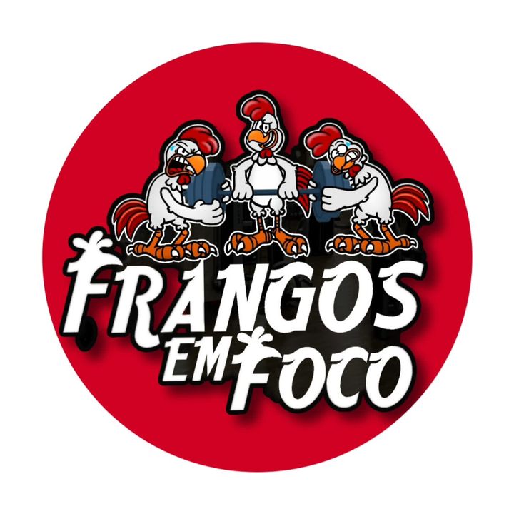 Frangos em foco