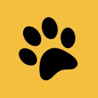 Pet Sapeca