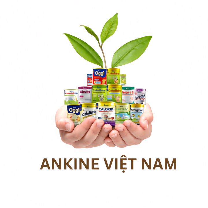 Ankine Việt Nam