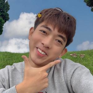 Panda Chân Lý