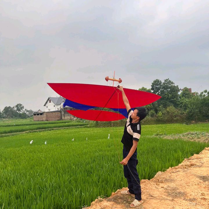 Shop diều sáo