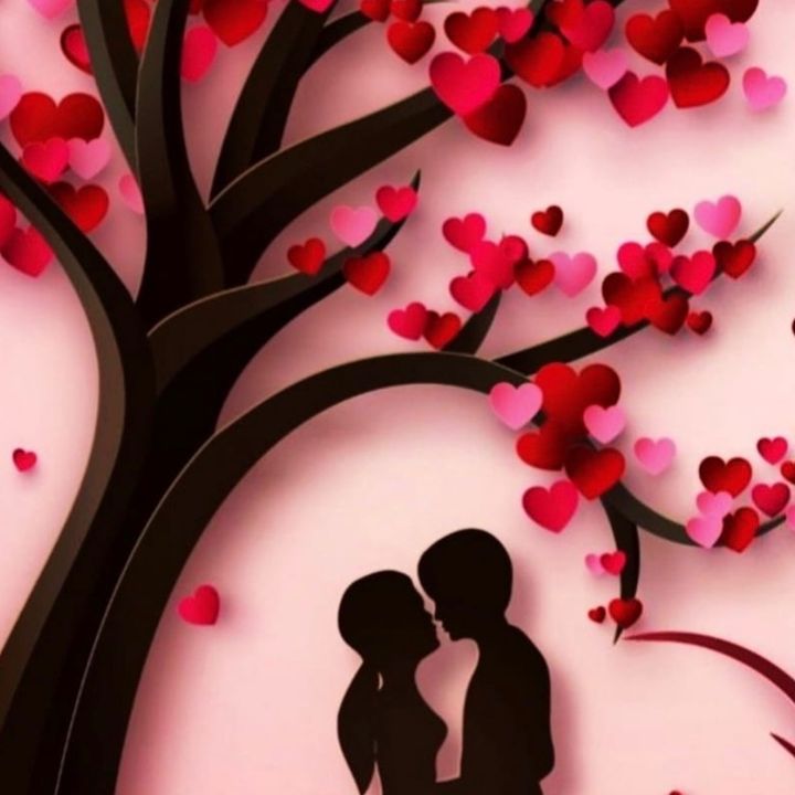 Lovely life