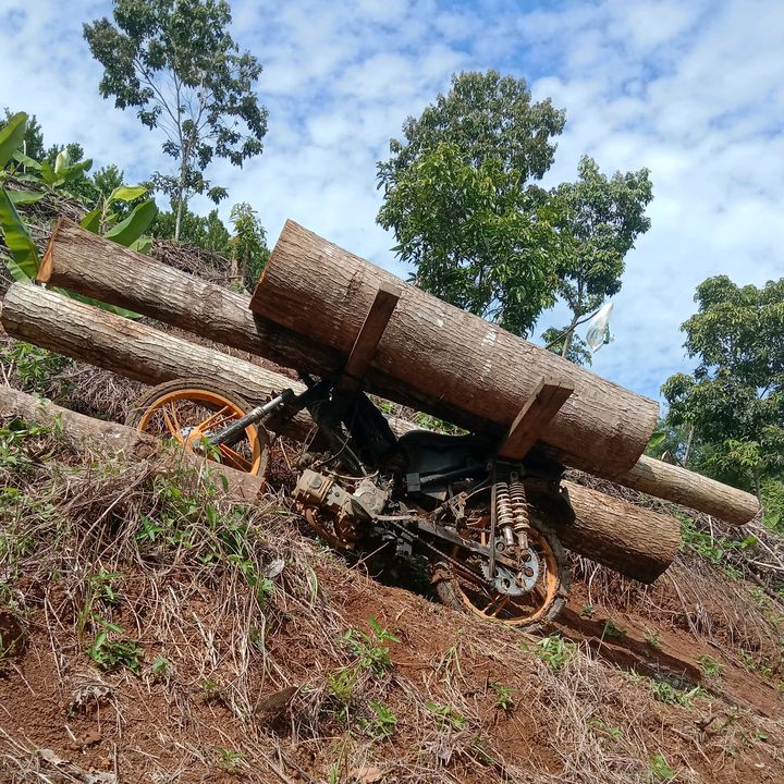 tukang kuli