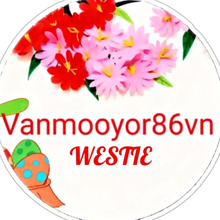 Vanmooyor86vn