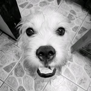 Kopi🖤