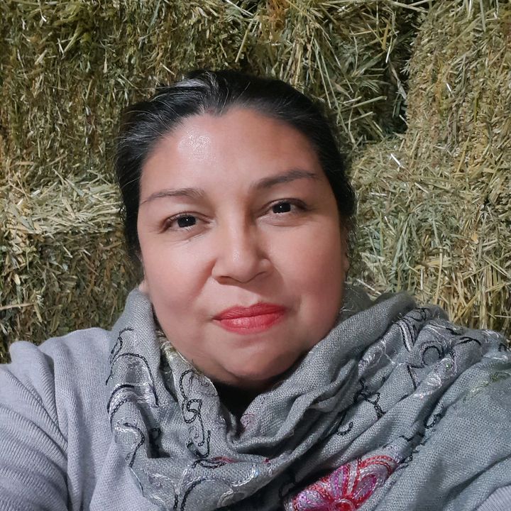 Lizfeliz