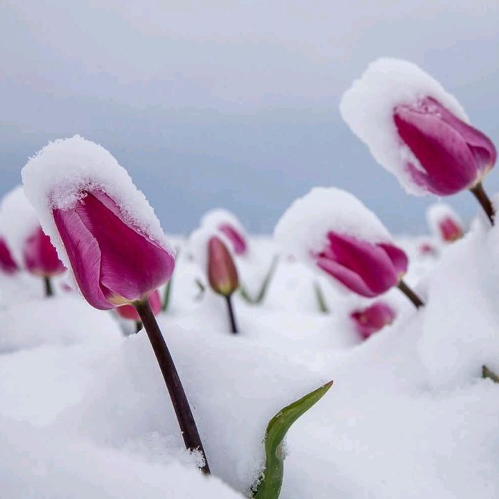 đđđšđđđ©đ