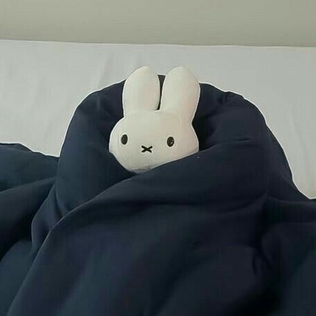 cattinnn •｡ꪆৎ ˚⋅