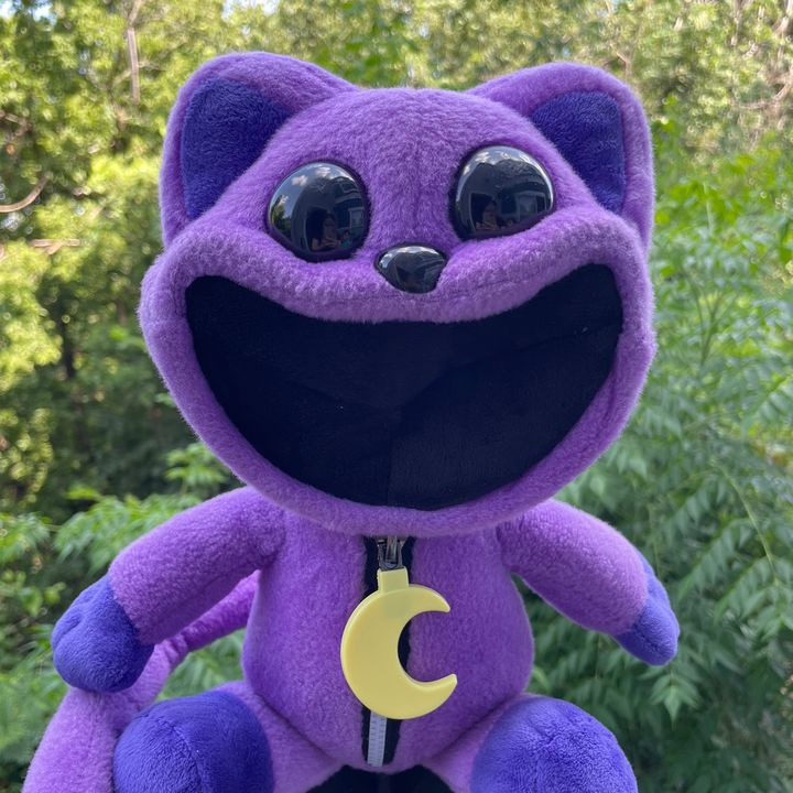 Adventures Of Catnap