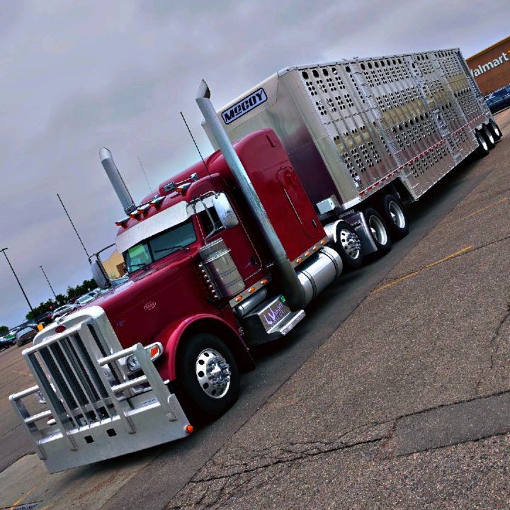 wrightway900