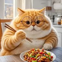 Orange cats