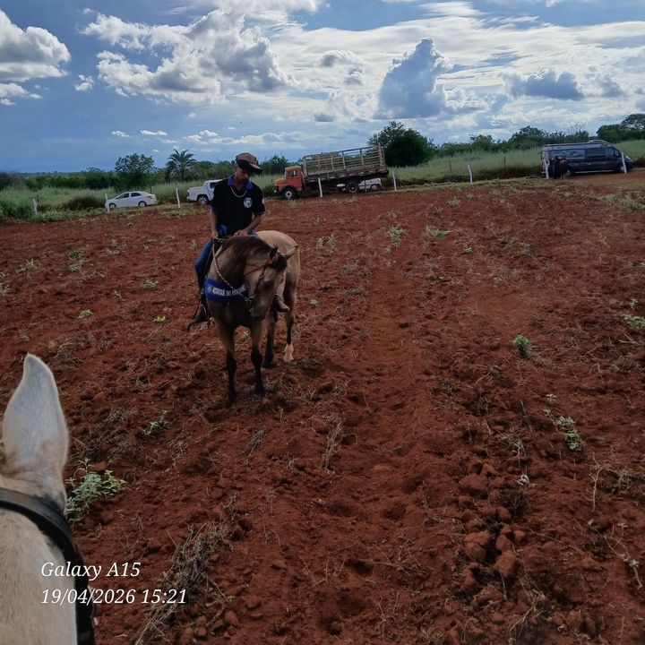 usuario54727