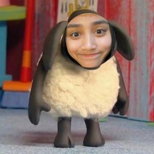 cia versi normal