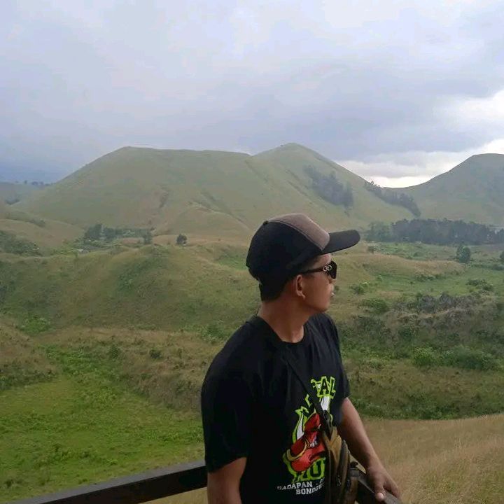 Adamsetaa