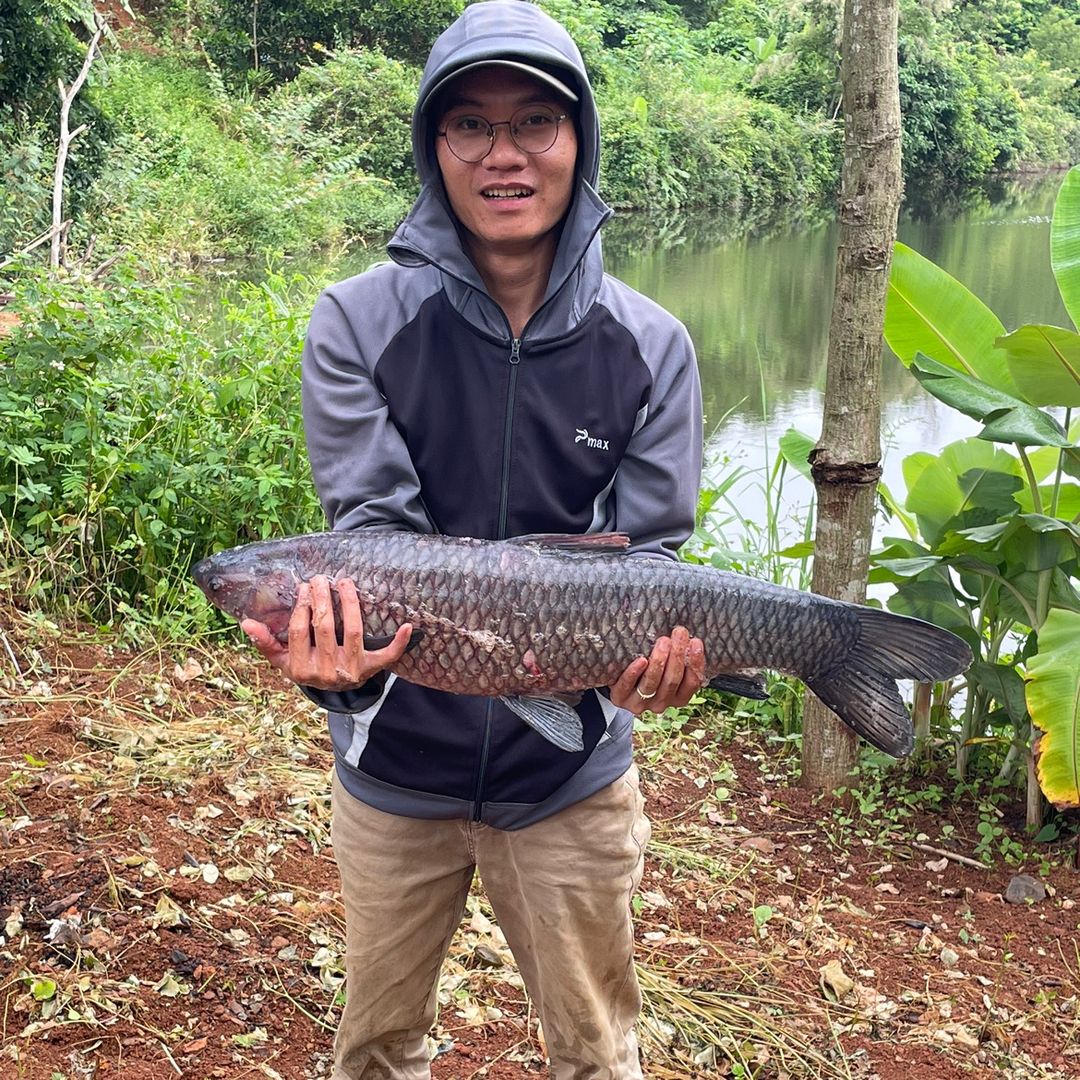 TRẢI NGHIỆM MỒI CÂU 🐠