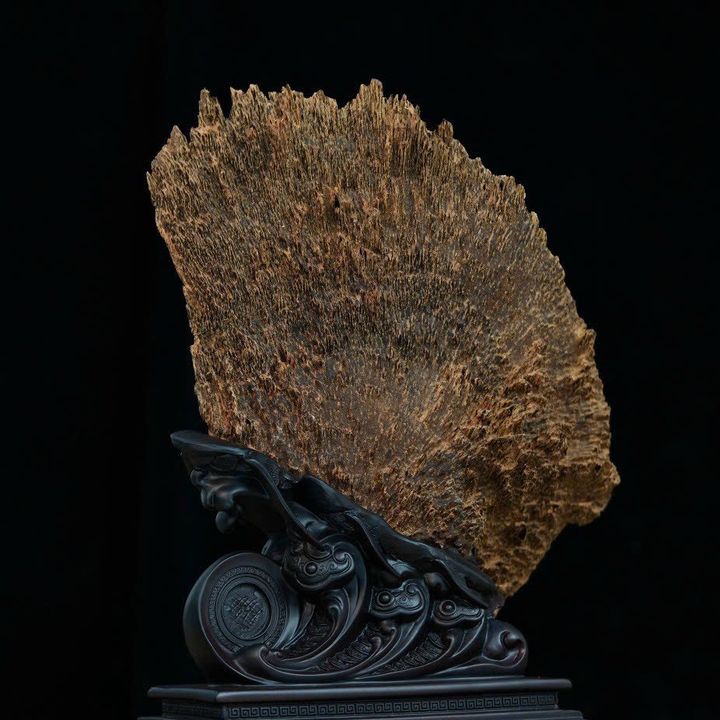 Rin trầm hương