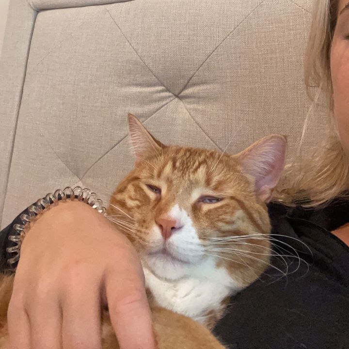 billyyybb